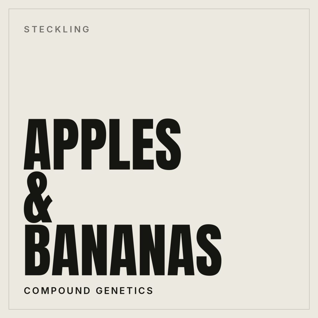 Apples & Bananas Steckling