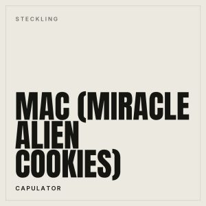 MAC Steckling