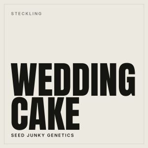Wedding Cake Steckling