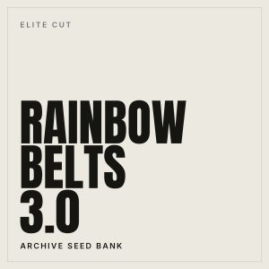 Rainbow Belts 3.0 Steckling