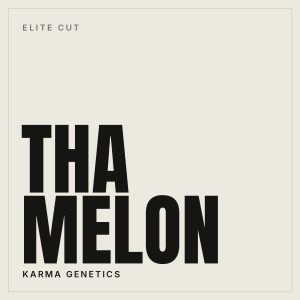 Tha Melon Steckling