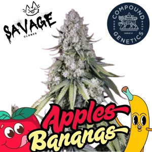 Apples & Bananas - Compound Genetics