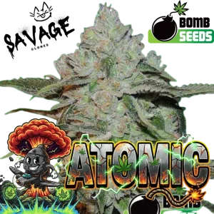 Atomic - Bomb Seeds