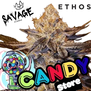 Candy Store - Ethos Genetics