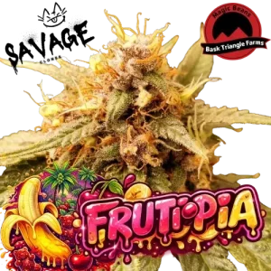 Frutopia - Bask Triangle Farms