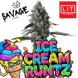 Ice Cream Runtz - Lit Farms