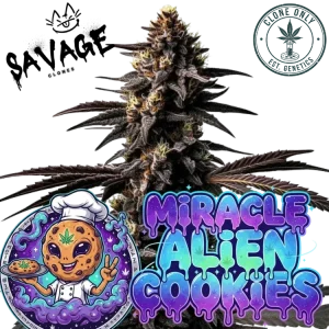 MAC (Miracle Alien Cookies) - Capulator Cut