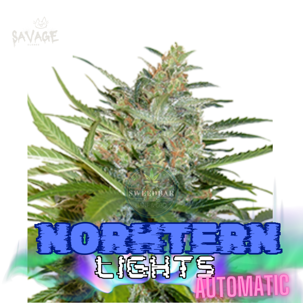 Northern Lights Automatic Samen kaufen – Savage-Clones