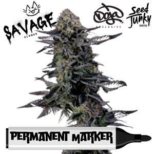 Permanent Marker - Seed Junky x Doja Exclusive Cut