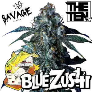 Blue Zushi – The Ten Co kaufen – Savage-Clones