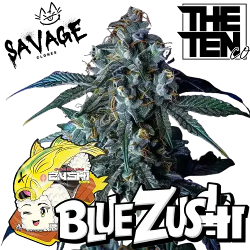 Blue Zushi – The Ten Co kaufen – Savage-Clones