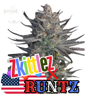 Runtz x Zkittlez Samen kaufen – Savage-Clones