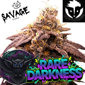 Rare Darkness - Rare Dankness
