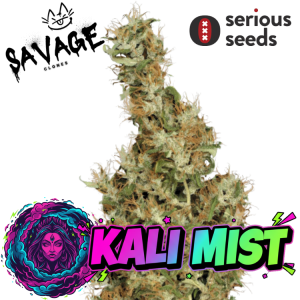 Kali Mist - Serious Seeds
