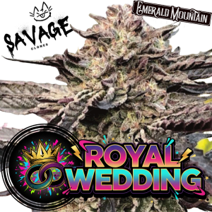 Royal Wedding - Emerald Mountain Legacy