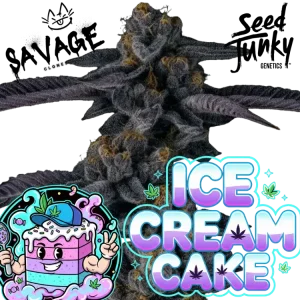 Ice Cream Cake - Seed Junky Genetics