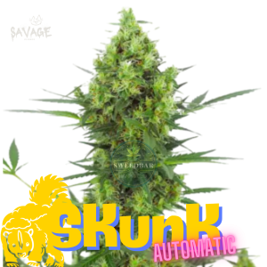 Skunk Automatic Samen kaufen – Savage-Clones