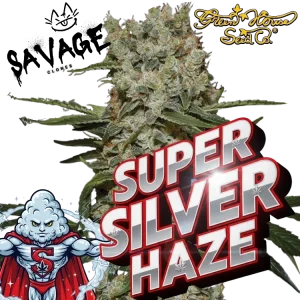 Super Silver Haze - Greenhouse Seeds