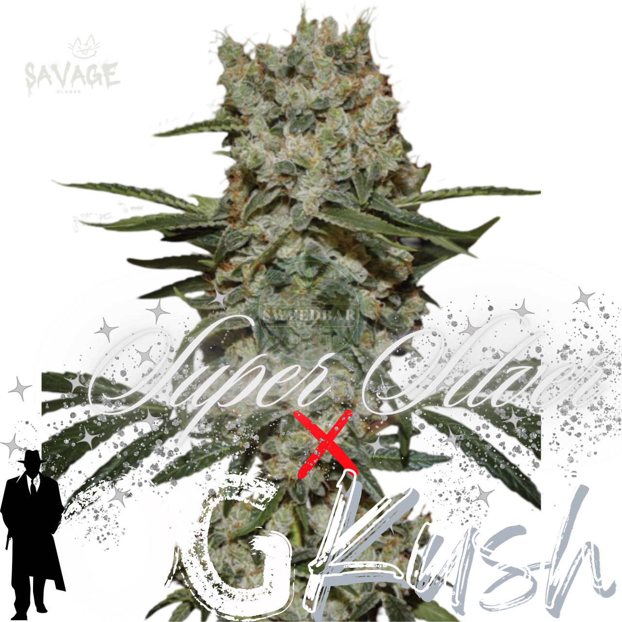 Super Silver x OG Kush feminized Samen kaufen – Savage-Clones