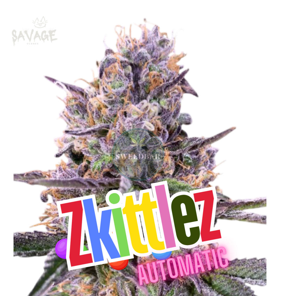 Zkittlez Automatic Samen kaufen – Savage-Clones