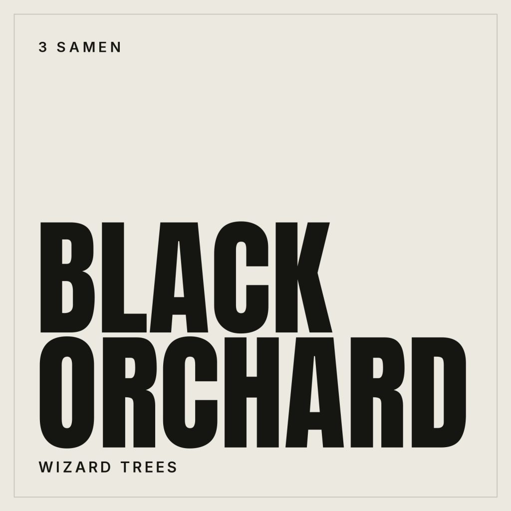 Black Orchard Samen