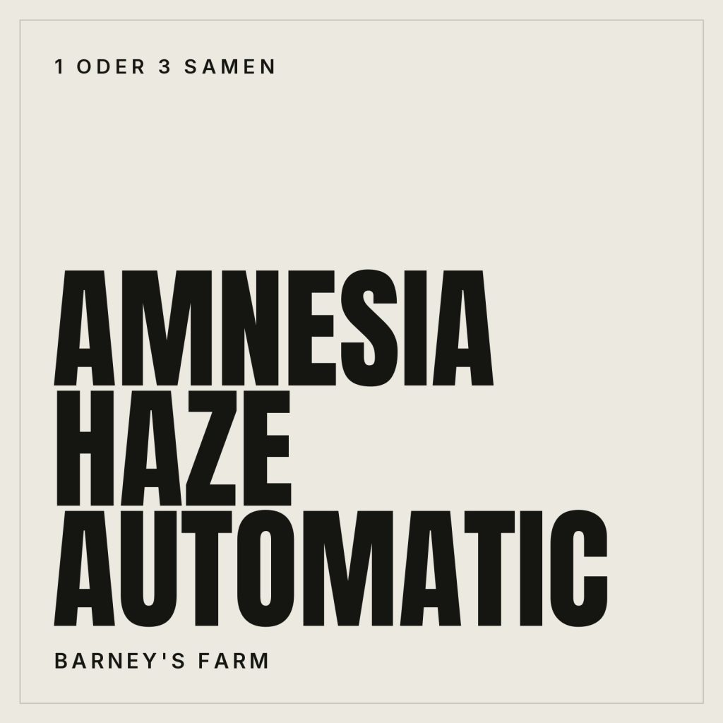Amnesia Haze Automatic