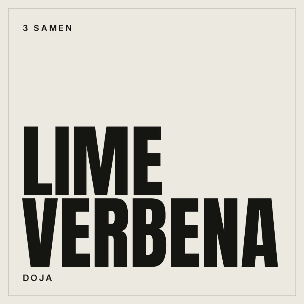Lime Verbena Samen kaufen