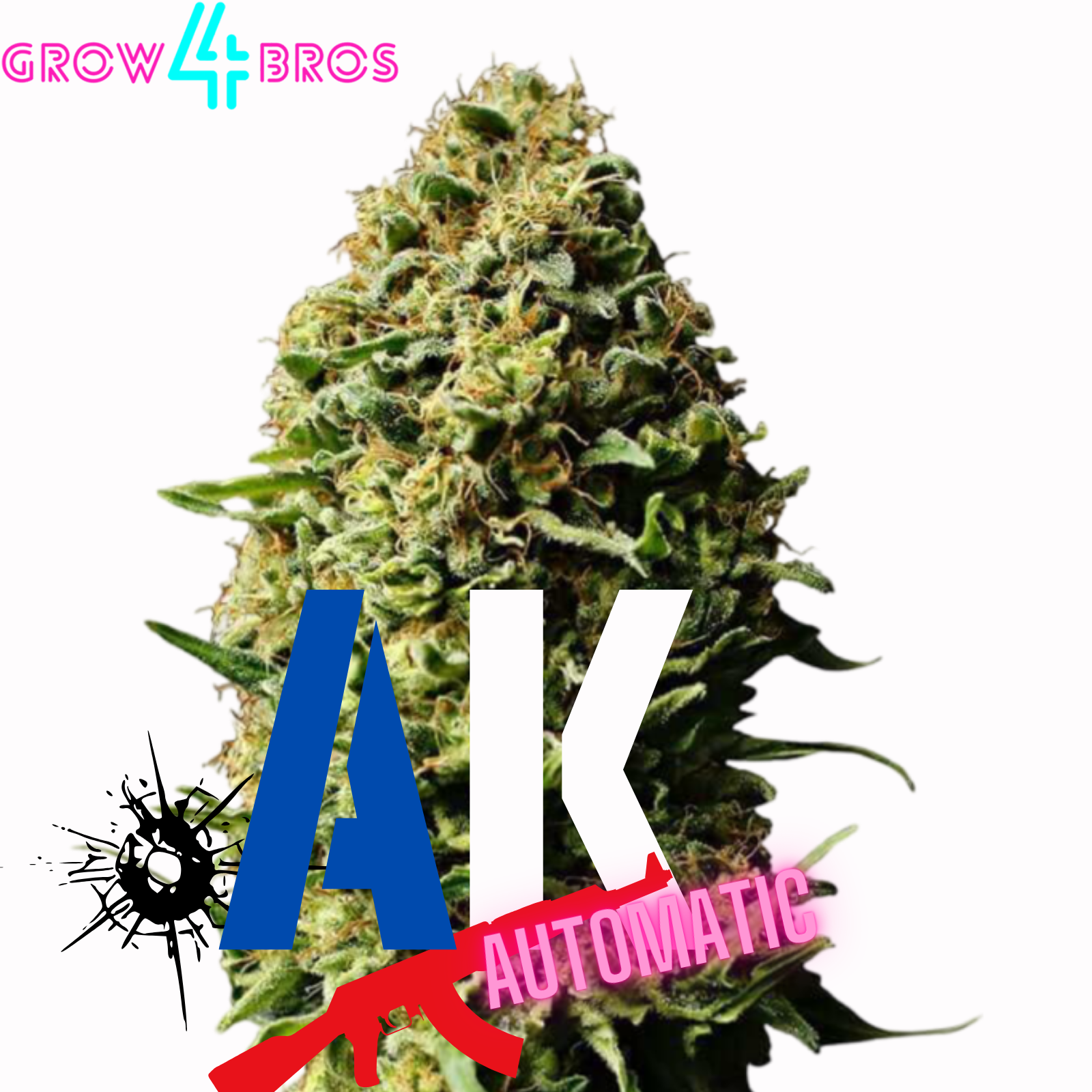 AK 47 Automatic Samen kaufen – Savage-Clones