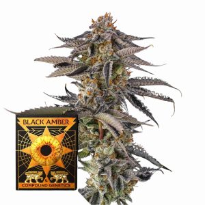 Jahrassic Samen kaufen – Savage-Clones