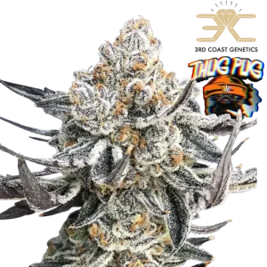 Pure Michigan Steckling - ThugPug × 3rd Coast Genetics