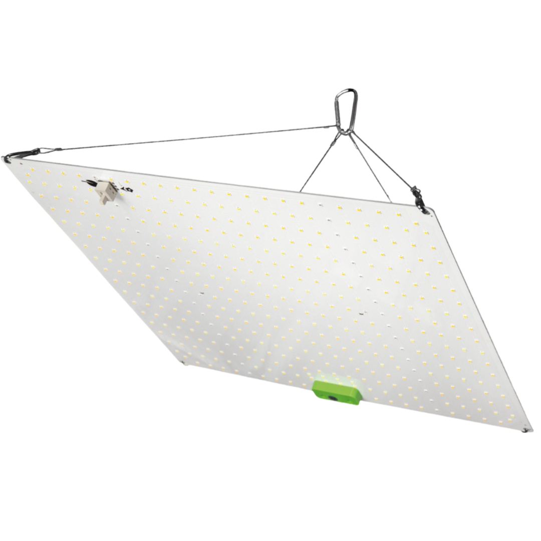 Hortilight 150Watt Quantum Board (Dual Modus Wachstum / Blüte) kaufen – Savage-Clones