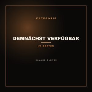 Demnächst verfügbar