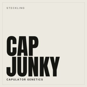 Cap Junky Steckling