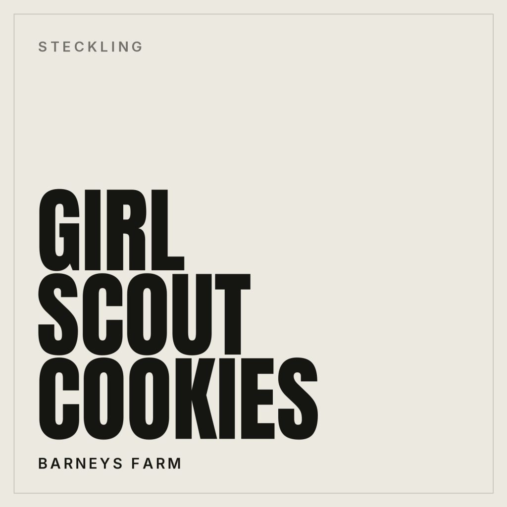 Girl Scout Cookies Steckling