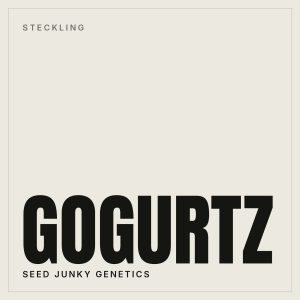 Gogurtz Steckling