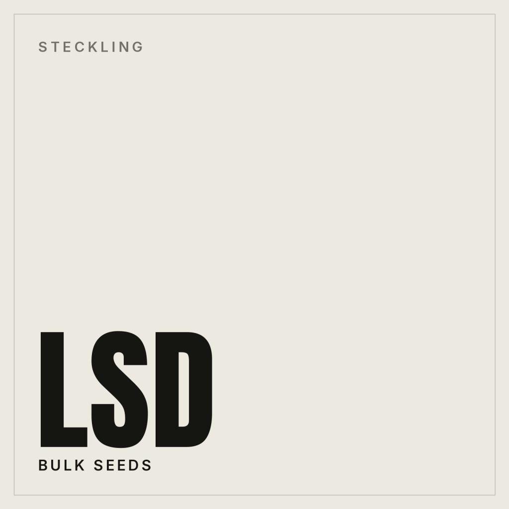 LSD Steckling