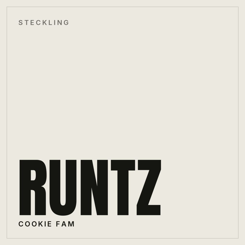 Runtz Steckling