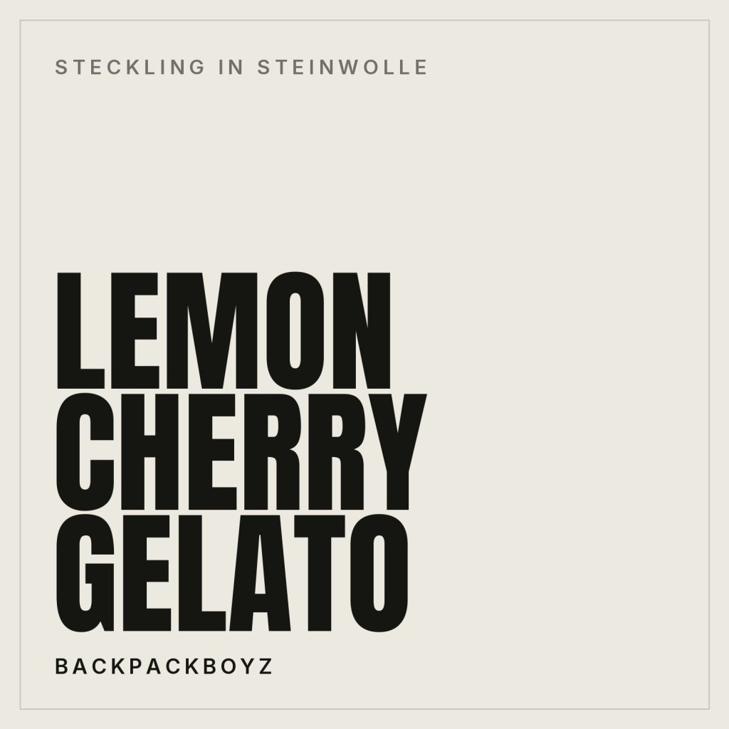 Lemon Cherry Gelato in Steinwolle