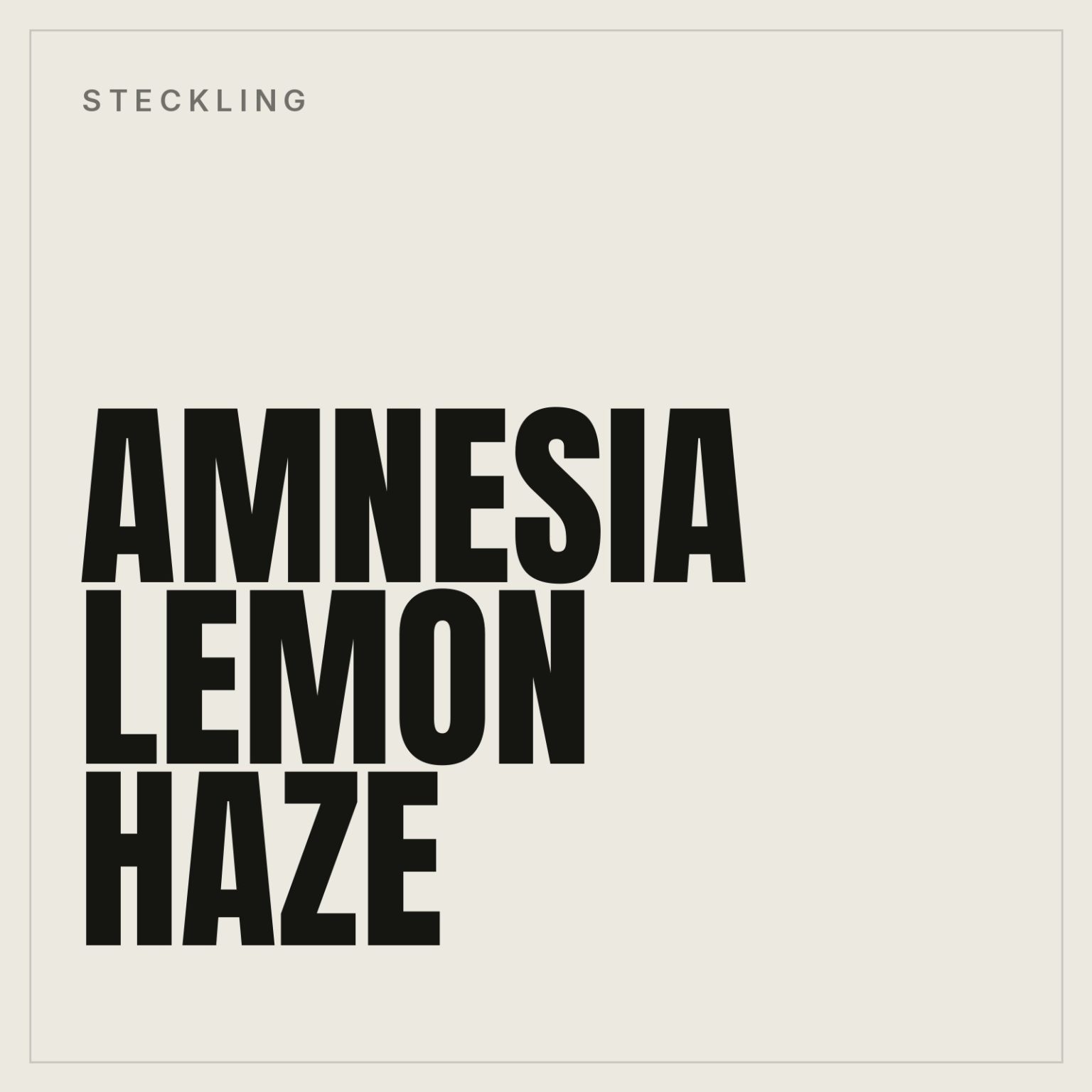 Amnesia Lemon Haze Steckling