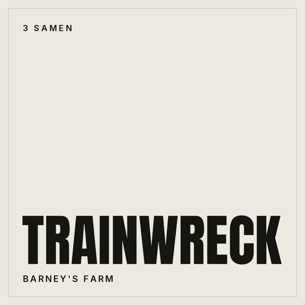Barney's Farm Trainwreck Feminisierte Hanfsamen
