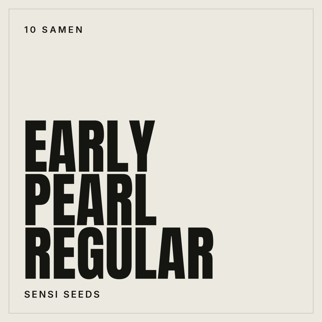 Sensi Seeds Early Pearl Reguläre Hanfsamen