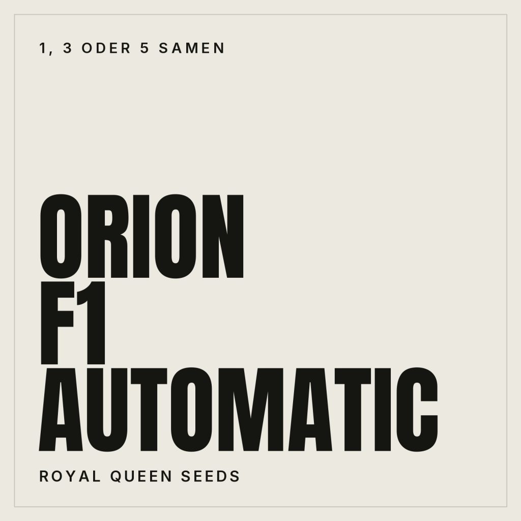 Royal Queen Seeds Orion F1 Automatic Feminisierte Hanfsamen