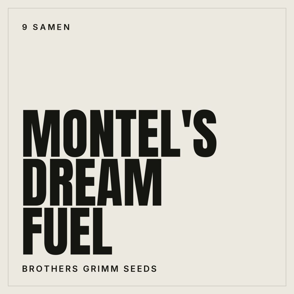 Brothers Grimm Seeds Montel's Dream Fuel Feminisierte Hanfsamen