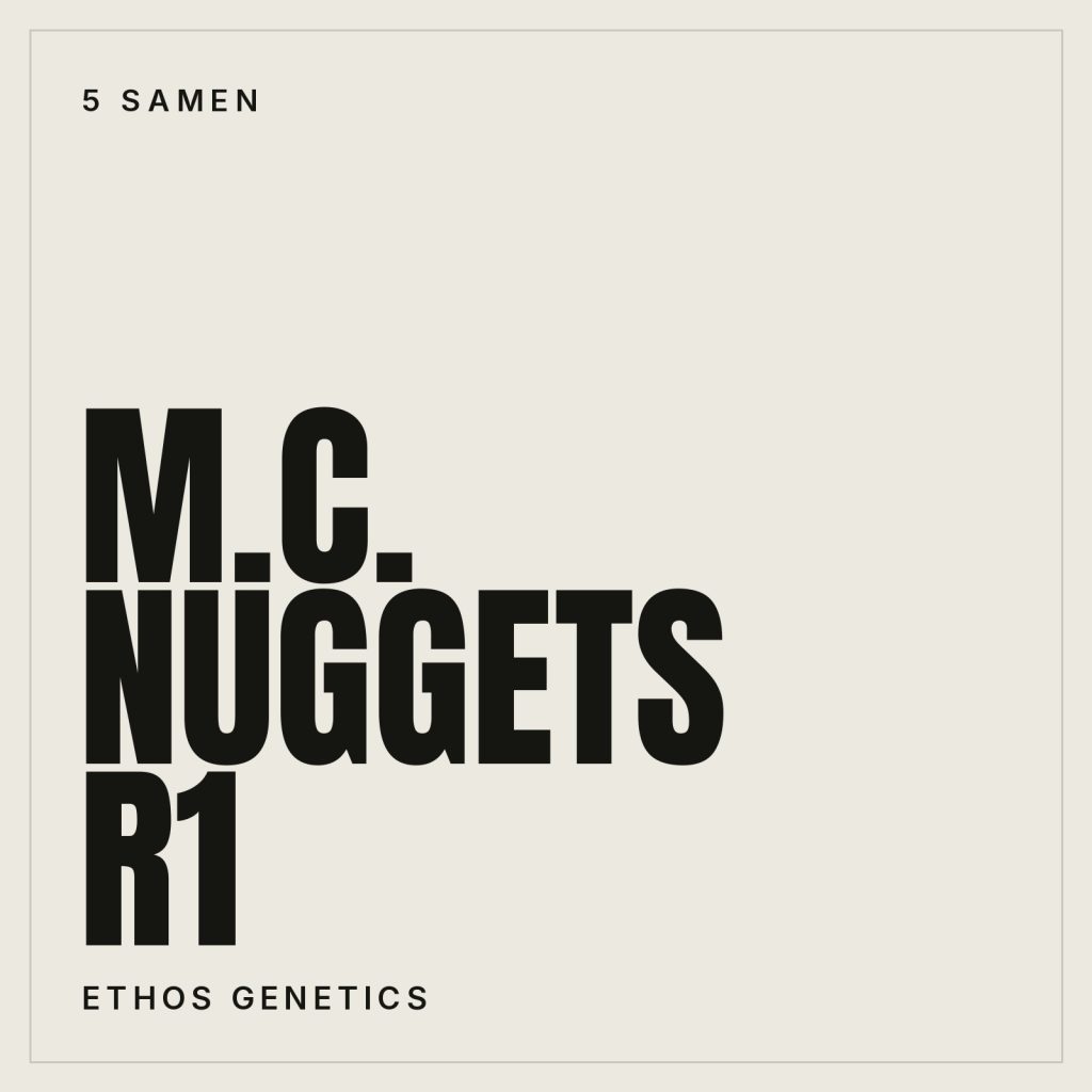 Ethos Genetics M.C. Nuggets R1 Feminisierte Hanfsamen