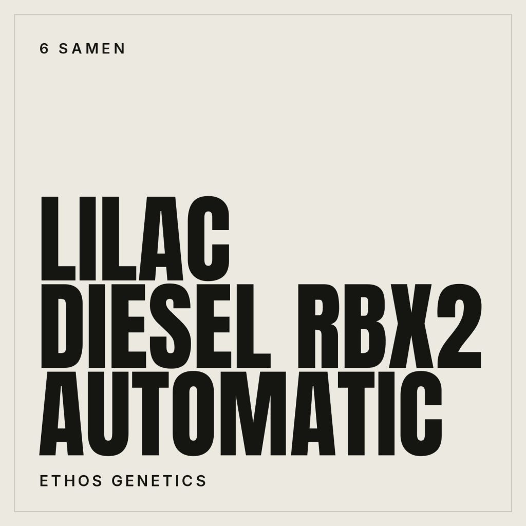 Ethos Genetics Lilac Diesel RBX2 Auto Feminisierte Hanfsamen