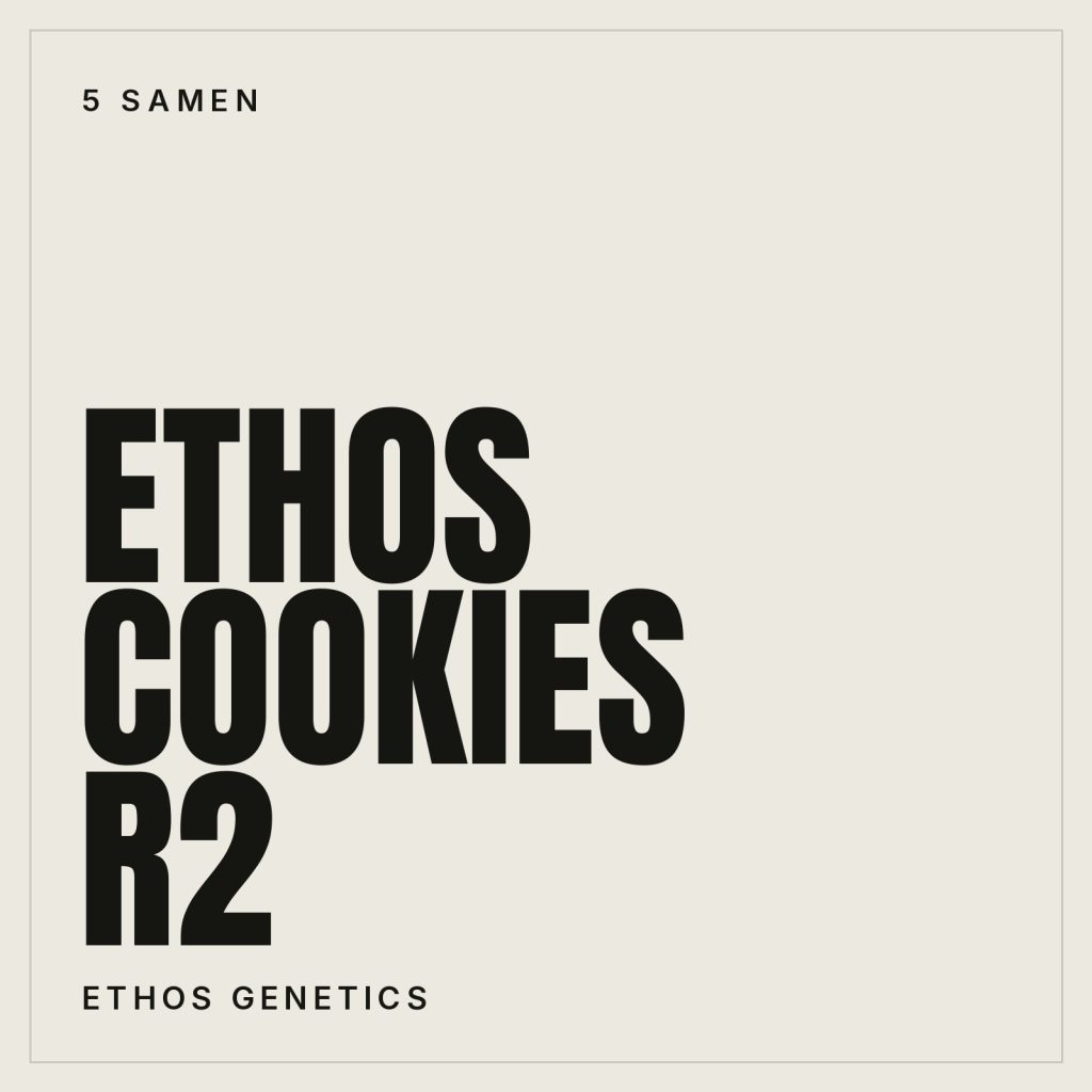 Ethos Genetics Ethos Cookies R2 Feminisierte Hanfsamen