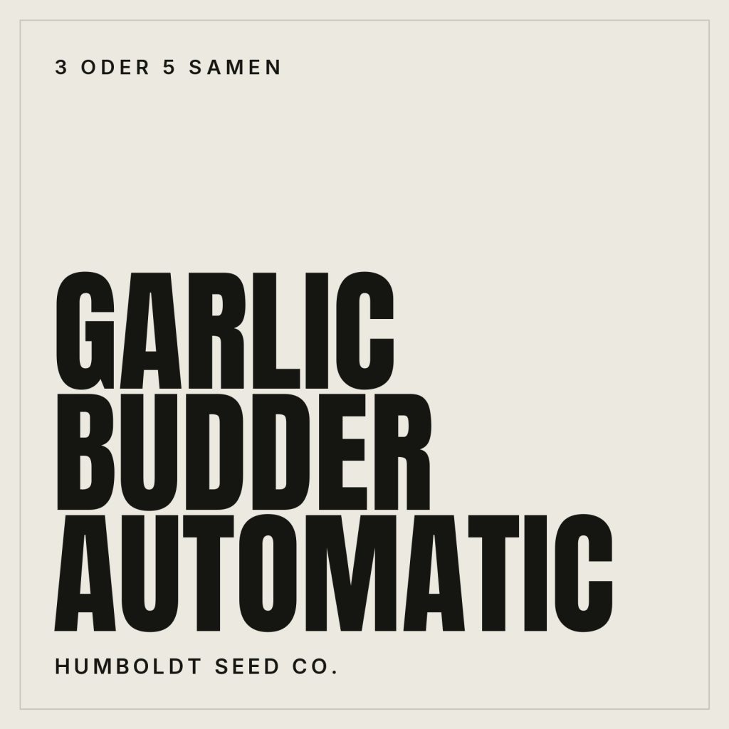 Humboldt Seed Co. Garlic Budder Autoflowering Hanfsamen