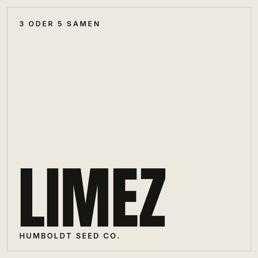 Humboldt Seed Co. Limez Feminisierte Hanfsamen