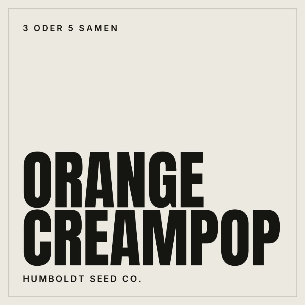 Humboldt Seed Co. Orange Creampop Feminisierte Hanfsamen