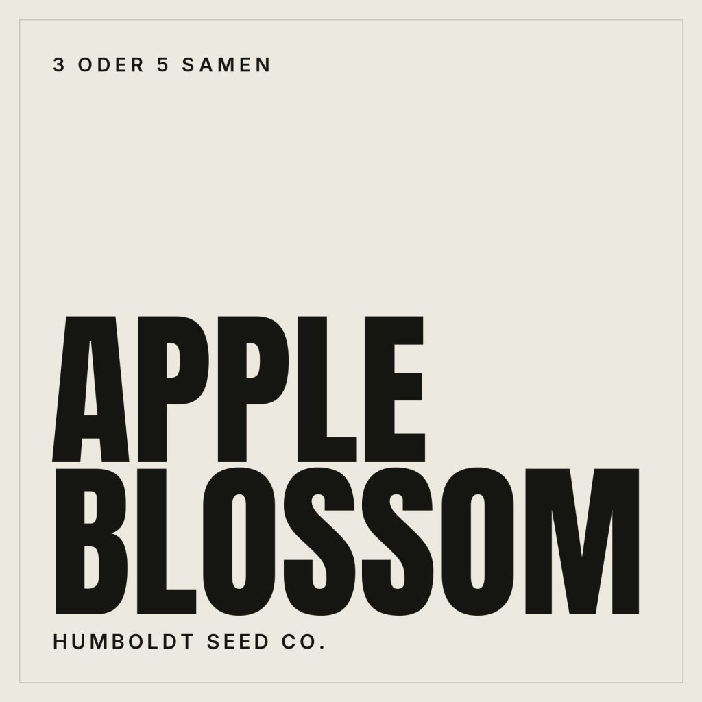 Humboldt Seed Co. Apple Blossom Feminisierte Hanfsamen